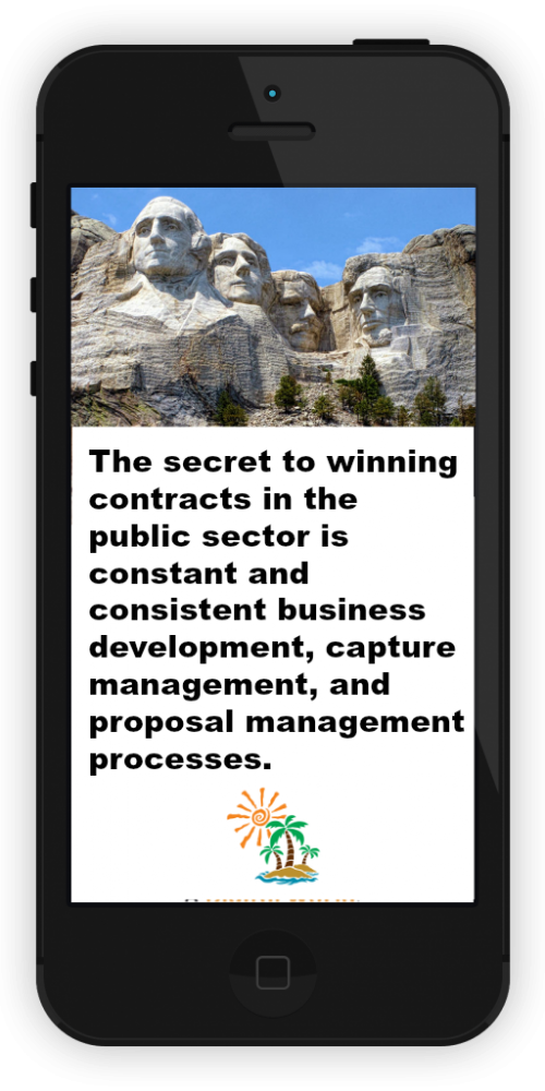 The secret to winning contracts in the public sector is constant and consistent business development, capture management, and proposal management processes. Our focus is government (Public Sector) contracting in Federal, State, and Local markets. Our expertise is BUSINESS DEVELOPMENT, CAPTURE MANAGEMENT, and PROPOSAL MANAGEMENT.